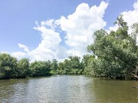 NL, Noord-Brabant, Drimmelen, Buiten Kooigat 2, Saxifraga-Bart Vastenhouw