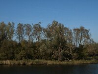 NL, Noord-Brabant, Drimmelen, Gat van de Kerksloot 1, Saxifraga-Jan van der Straaten