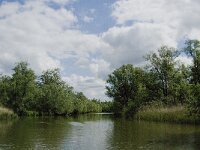 NL, Noord-Brabant, Drimmelen, Gat van de Plomp 1, Saxifraga-Jan van der Straaten