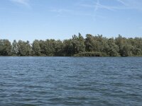 NL, Noord-Brabant, Drimmelen, Zuidergat van de Visschen 4, Saxifraga-Willem van Kruijsbergen