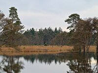 Heeze-Leende