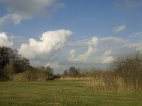 NL, Noord-Brabant, Meierijstad, Nijnsel, Dommelbeemden 32, Saxifraga-Jan van der Straaten