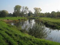 NL, Noord-Brabant, Meierijstad, Nijnsel, Dommelbeemden 8, Saxifraga-Henk Sierdsema