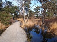 Someren