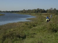 NL, Noord-Brabant, Steenbergen, Dintelse Gorzen 17, Saxifraga-Jan van der Straaten