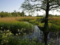NL, Utrecht, Stichtse Vecht, Tienhoven 2, Foto Fitis-Sytske Dijksen