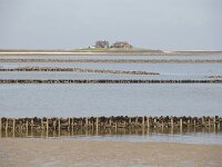 D, Schleswig-Holstein, Hallig Hooge 6, Foto Fitis-Sytske Dijksen