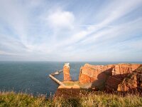 D, Schleswig-Holstein, Helgoland 14, Saxifraga-Bart Vastenhouw