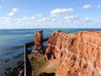 D, Schleswig-Holstein, Helgoland 15, Saxifraga-Bart Vastenhouw