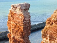 D, Schleswig-Holstein, Helgoland 16, Saxifraga-Bart Vastenhouw