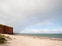 D, Schleswig-Holstein, Helgoland 30, Saxifraga-Bart Vastenhouw