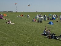 D, Schleswig-Holstein, Nordstrand, Westen 1, Saxifraga-Jan van der Straaten