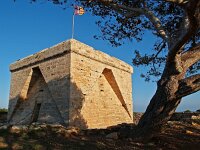 E, Mallorca, Cala Millor 3, Saxifraga-Hans Dekker