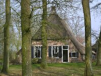 NL, Drenthe, Westerveld, Havelterberg 20, Saxifraga-Hans Dekker