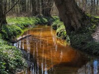 NL, Drenthe, Aa en Hunze, Anlo-erdiepje 4, Saxifraga-Hans Dekker