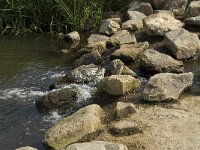 NL, Noord-Brabant, Oirschot, Spoordonk, Beerze 3, Saxifraga-Jan van der Straaten