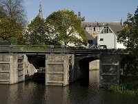 NL, Noord-Brabant, 's Hertogenbosch, Binnendieze 2, Saxifraga-Jan van der Straaten