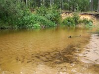 NL, Overijssel, Dinkelland, Dinkel 6, Saxifraga-Foto Fitis-Sytske Dijksen