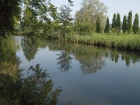 NL, Noord-Brabant, Sint Michielsgestel, Zegenworp 3, Saxifraga-Jan van der Straaten