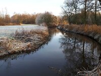NL, Noord-Brabant, Waalre, Dommel in De Elshouters 9, Saxifraga-Tom Heijnen