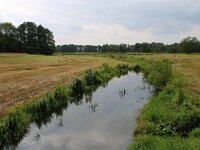 NL, Drenthe, Aa en Hunze, Drentsech Aa bij Schipborg 3, Saxifraga-Foto Fitis-Sytske Dijksen