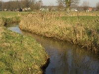 NL, Noord-Brabant, Bergeijk, Heijerdijk, Keersopbeemden 10, Saxifraga-Jan van der Straaten