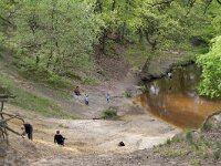 NL, Limburg, Leudal, Leubeek 12, Saxifraga-Tom Heijnen