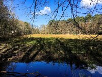 NL, Gelderland, Ermelo, Leuvenumse beek 6, Saxifraga-Bart Vastenhouw