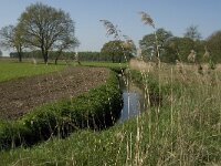 NL, Noord-Brabant, Baarle Nassau, Kromme Hoek 37, Saxifraga-Jan van der Straaten