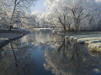 NL, Noord-Brabant, Oisterwijk, Voorste Stroom 11, Saxifraga-Jan van der Straaten