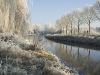 NL, Noord-Brabant, Oisterwijk, Voorste Stroom 5, Saxifraga-Jan van der Straaten