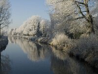 NL, Noord-Brabant, Oisterwijk, Voorste Stroom 6, Saxifraga-Jan van der Straaten