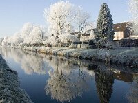 NL, Noord-Brabant, Oisterwijk, Voorste Stroom 9, Saxifraga-Jan van der Straaten