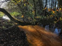 Zeegserloopje, Drenthe