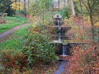 NL, Gelderland, Renkum, Hemelse Berg 2, Saxifraga-Tom Heijnen