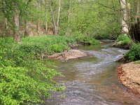 NL, Limburg, Bergen, Geldern Nierskanaal 2, Saxifraga-Foto Fitis-Sytske Dijksen