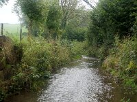 NL, Limburg, Gulpen-Wittem, Gulp 4, Saxifraga-Foto Fitis-Sytske Dijksen
