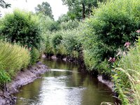 NL, Limburg, Gulpen-Wittem, Volmolen Epen 1, Saxifraga-Foto Fitis-Sytske Dijksen