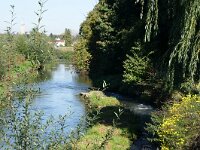 NL, Limburg, Maastricht, Jeker bij Sint Pietersberg 2, Saxifraga-Foto Fitis-Sytske Dijksen