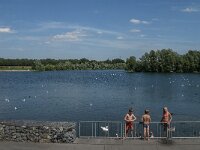 NL, Noord-Brabant, Goirle, Put van Heel 6, Saxifraga-Jan van der Straaten