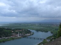 AL, Shkoder, Shkoder 122, Saxifraga-Hans Boll