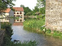 F, Haute-Marne, Perrancey-les-Vieux-Moulins, Vieux Moulins 1, Saxifraga-Hans Dekker