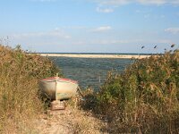 GR, Anatoliki Makedonia kai Thraki,Lasmos, Nestos Delta 43, Saxifraga-Dirk Hilbers