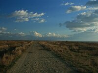 GR, Evros, Alexandroupolis, Evros Delta 40, Saxifraga-Dirk Hilbers