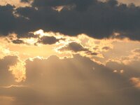 GR, Kentrikí Makedhonía, Sindiki, Limni Kerkini 40, Saxifraga-Ditk Hilbers