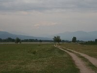 GR, Kentrikí Makedhonía, Sindiki, Limni Kerkini 42, Saxifraga-Ditk Hilbers