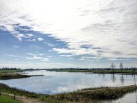 NL, Gelderland, Zutphen, IJssel 17, Saxifraga-Bart Vastenhouw