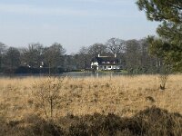 B, Antwerpen, Kalmthout, Kalmthoutse Heide 14, Saxifraga-Jan van der Straaten