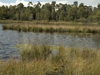 NL, Noord-Brabant, Boxtel, Huisven 6, Saxifraga-Marijke Verhagen