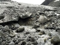 N, Innlandet, Lom, Storebreen 20, Saxifraga-Willem van Kruijsbergen